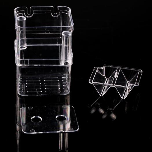 想輕松孵化小魚?這魚缸孵化盒你得知道!